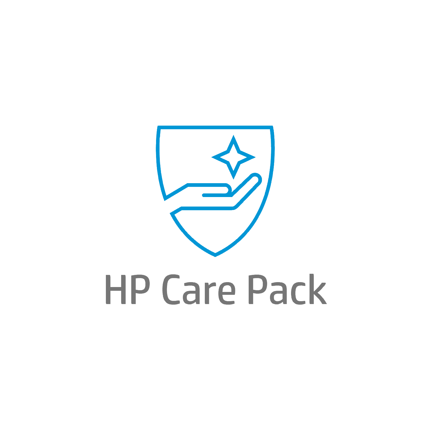 HP Inc Electronic HP Care Pack Software Technical Support (UD1X1E)