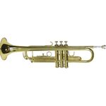 DIMAVERY TP-10 B-Trompete, gold (26503100)