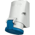 MENNEKES Elektrotechnik GmbH & Co. KG Wanddose TwinCONTACT 32A 3p 6h 230V IP44 420 (420)