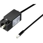 Rittal SZ Door-operated switch (2500470)