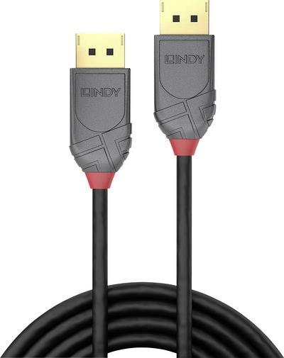 Lindy Anthra Line DisplayPort-Kabel DisplayPort M bis DisplayPort 