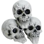 EUROPALMS Halloween Totenkopf, 3x (83316139)