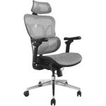 Equip Ergonomischer Bürostuhl mit Kopf und Armstützen gr lite Retail (651050)