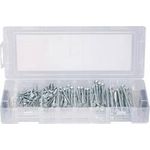 fischer Mini FixTainer PowerFast II - BC Holzschrauben-Sortiment 125 Stück (560094)