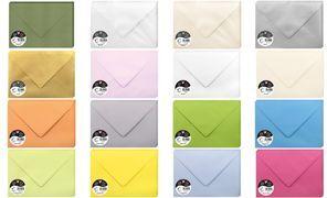 Pollen by Clairefontaine Briefumschlag C5, salbeigrün 120 g/qm, Maße: 162 x 229 mm, pH-neutrales Papier, säurefrei - 1 Stück (5072C)