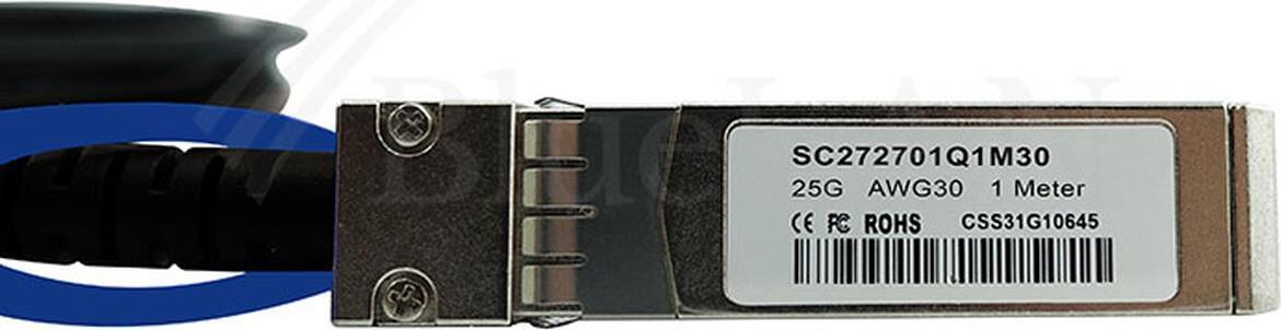 BlueOptics SFP28-DAC-0.5M-GM-BL InfiniBand-Kabel 0,5 m Schwarz (SFP28-DAC-0.5M-GM-BL)