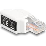 DeLOCK 88002 Kabeladapter RJ50 Weiß (88002)