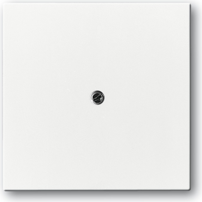 Busch Jaeger 1710-0-3173 Wandplatte/Schalterabdeckung Weiß (1710-0-3173)