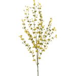 EUROPALMS Eukalyptuszweig, künstlich, gelb-grün, 110cm (82505622)