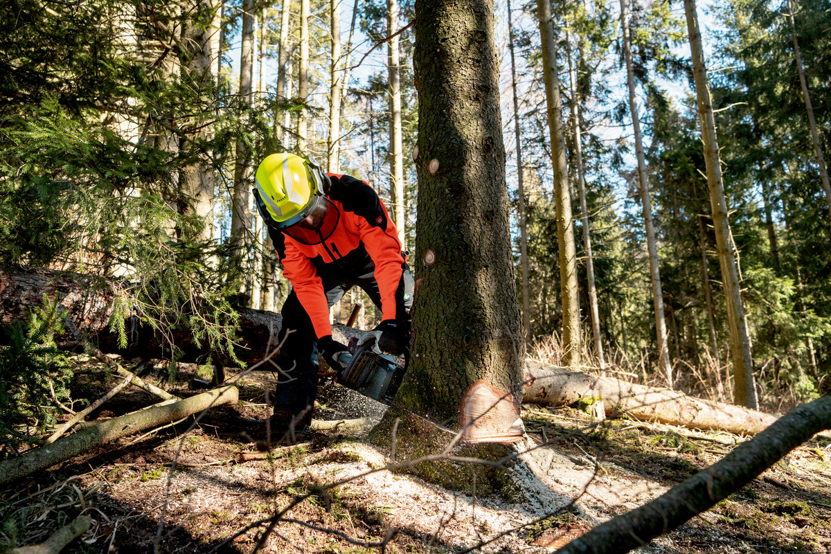 Metabo MS 36-18 LTX BL 40 Akku-Kettensäge 40 cm 18 V