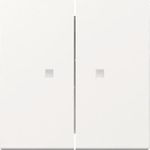 GIRA Wippe 363103 2f Kontrollf.Sys.55 rws (363103)