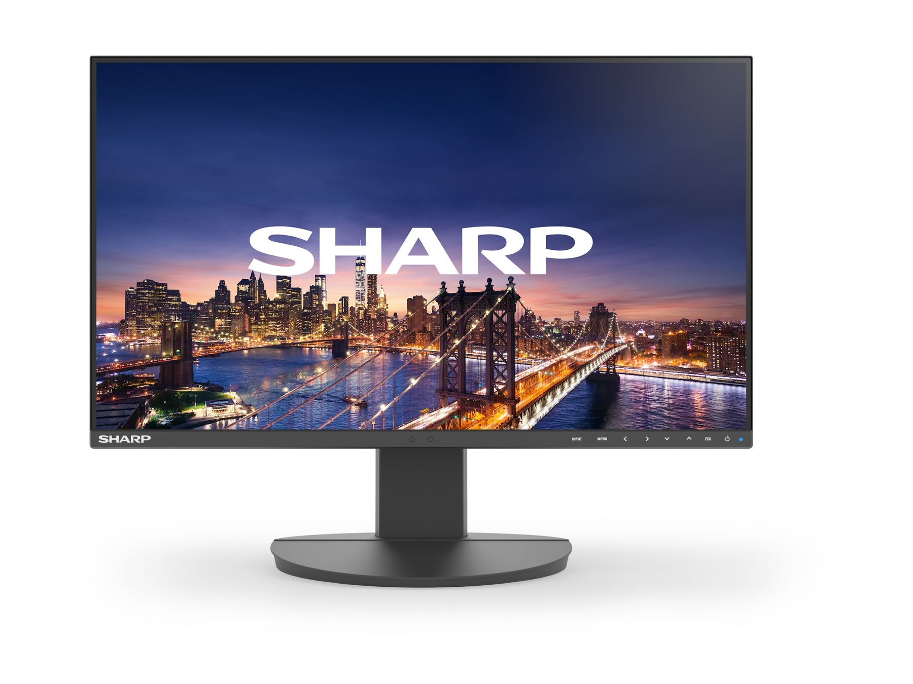 NEC Sharp MultiSync EA241F (60006212)