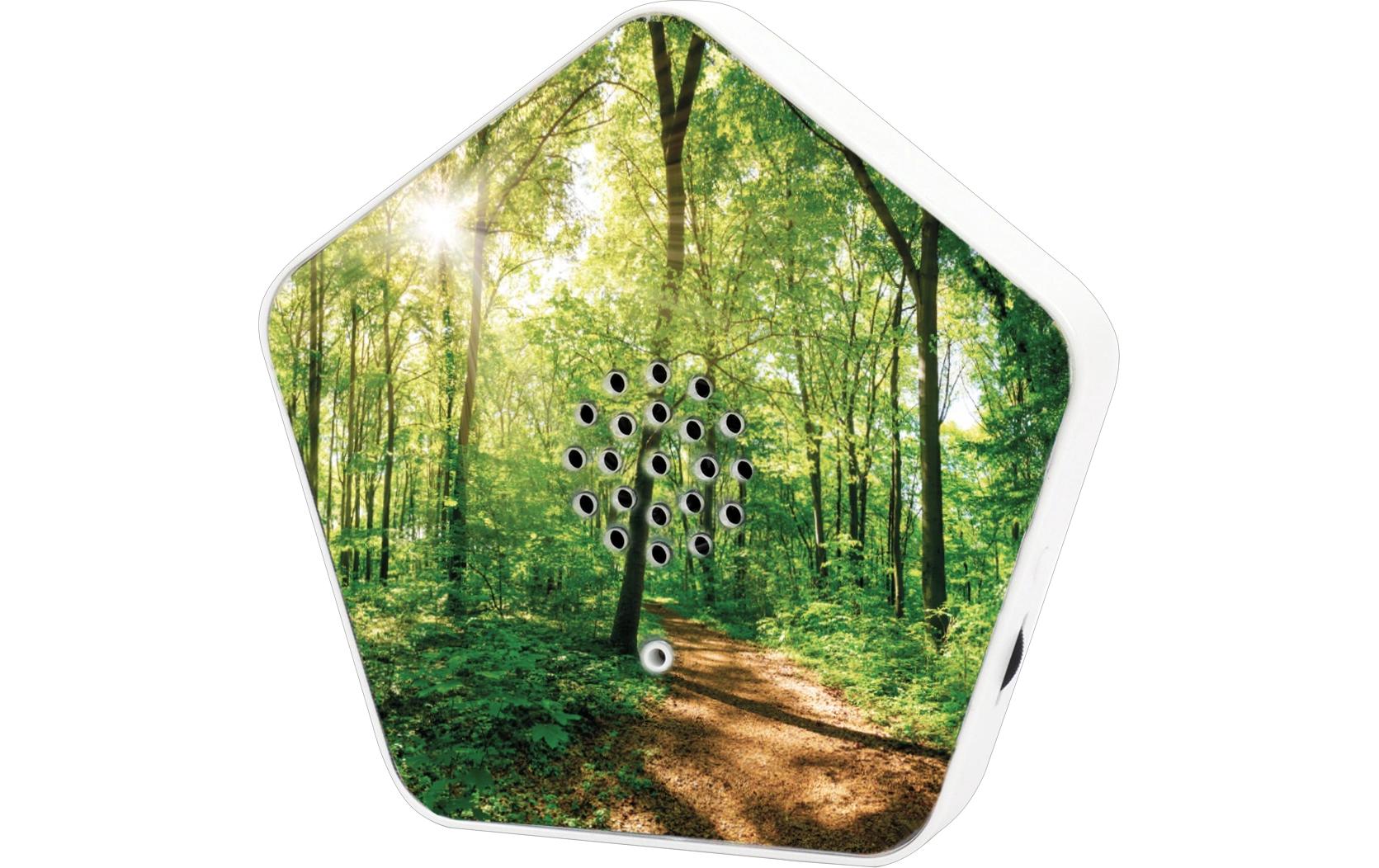 Olympia Nature BOX Lautsprecher Mehrfarbig