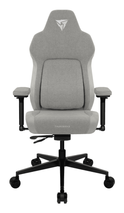 ThunderX3 CORE Smart Ergonomischer Gaming Stuhl Loft Grey