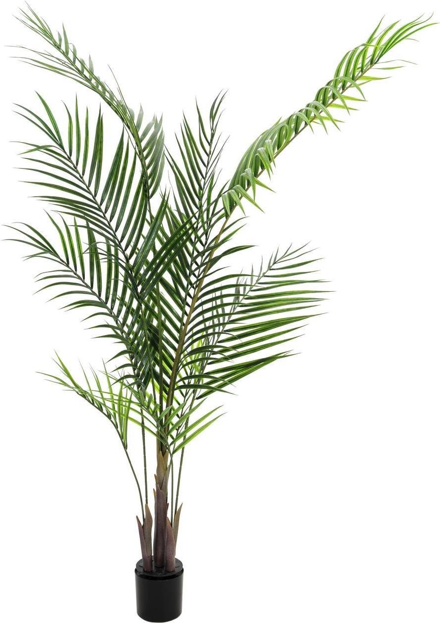EUROPALMS Großblatt-Areca, Kunstpflanze, 165cm (82509441)