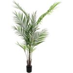 EUROPALMS Großblatt-Areca, Kunstpflanze, 165cm (82509441)