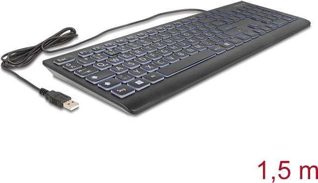 Delock USB Tastatur kabelgebunden 1.5 m schwarz mit XXL Buchstaben und (12170)