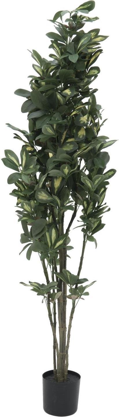 EUROPALMS Schefflera, künstlich, 120cm (82600157)