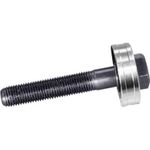 Rittal Zugschraube mit Kugellager 4055633 (4055633)