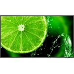 NEC MultiSync E328-2 32" Digital Signage Display FHD 400cd/m² 16/7 (60006113) (geöffnet)