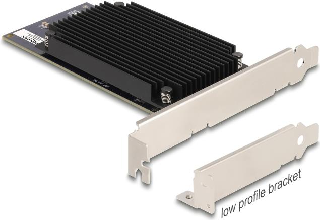 Delock PCI Express x8 Hailo-8 AI Prozessor x2 KI-Beschleuniger (31416)