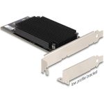 Delock Anwendungsbeschleuniger (31416)