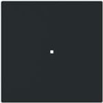 BUSCH JAEGER Wippe 6230-10-45M 1-f.neutral o.Bedruckung (2CKA006220A0927)