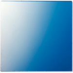 Jung Scheibe 62.5x61x1mm 61 GL (61GL)