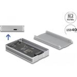 Delock Speichergehäuse (42018)