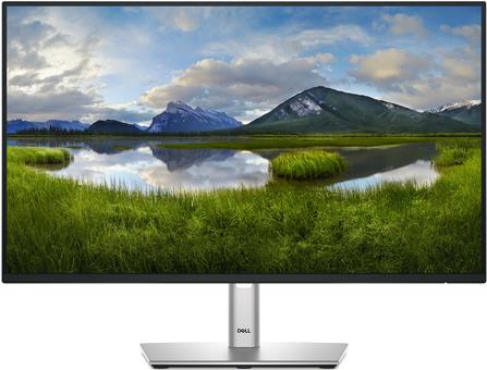 DELL P2425H LED-Monitor 61 cm 24