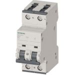 Leitungsschutzschalter 5SY4208-7 400V 10kA 2polig C8A (5SY42087)