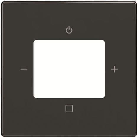 Busch-Jaeger Zentralscheibe 8252-81-101 (2CKA008200A0248)