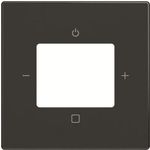 Busch-Jaeger Zentralscheibe 8252-81-101 (2CKA008200A0248)