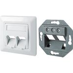 Tragring für Keystone-Module, 2-fach, Unterputz, reinweiß RAL 9010 Verwendbar als Unterputzdose oder für den Kanaleinbau, mit Rahmen (17000488)