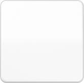 Jung Wippe f.Taster CD101WW (CD101WW)