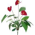 EUROPALMS Anthurium, künstlich, 70cm (82530164)