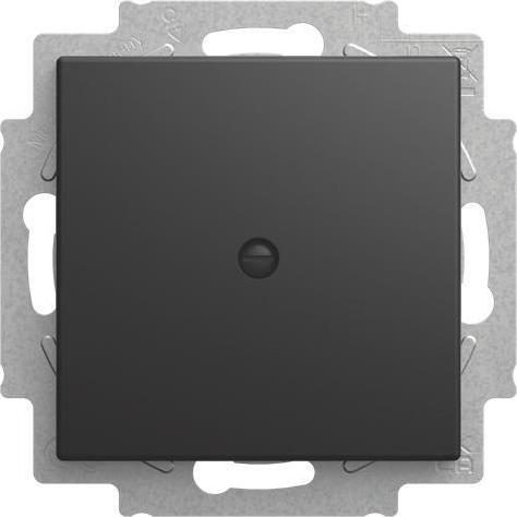 BUSCH JAEGER BJ 2538-915 Blindzentralscheibe mit Tragring Busch-balance SI (2CKA001715A0321)