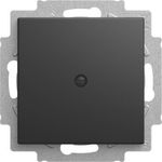 BUSCH JAEGER BJ 2538-915 Blindzentralscheibe mit Tragring Busch-balance SI (2CKA001715A0321)