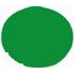 Tastenlinse flach gn blanko M22-XDL-G (216443)