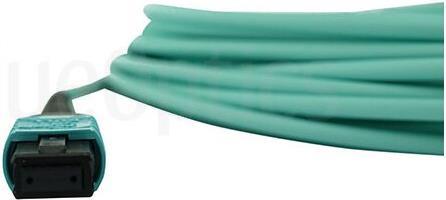 Kompatibles HPE Q1H65A BlueOptics LWL Trunkkabel, MPO/UPC zu MPO/UPC, 5 Meter, Multimode G50/125µm, OM3, Markenfaser, 3.0mm LSZH aqua, 12 Kerne, Typ B, MPO Stecker ohne Pins, inkl. Messprotokoll (Q1H65A-BO)