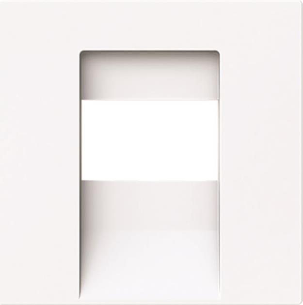 BUSCH-JAEGER 1766-44G Zentralscheibe TAE UAE USB HDMI (2CKA001710A4162)