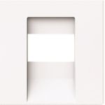 BUSCH-JAEGER 1766-44G Zentralscheibe TAE UAE USB HDMI (2CKA001710A4162)