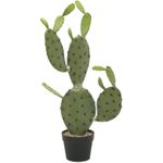 EUROPALMS Blätterkaktus, Kunstpflanze, 75cm (82600068)
