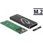 Delock Speichergehäuse (42003)