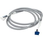 FlashForge Guider 3 Plus Y Motor Cable (40001895001)