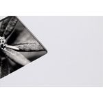 Hama Fine Art Spiral kreide 24x17 50 schwarze Seiten 2107 (2107)