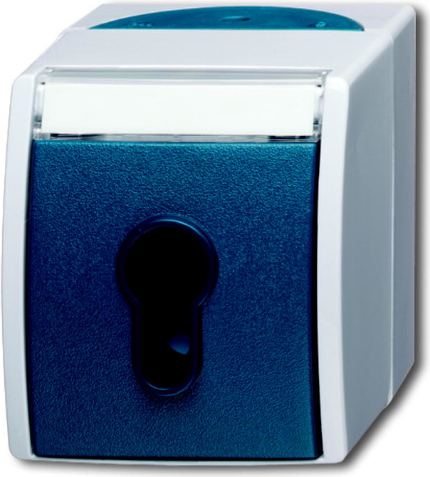 BUSCH-JAEGER Schlüsselschalter 2733SLW-53 ocean 2733SLW-53 (1101-0-0917)