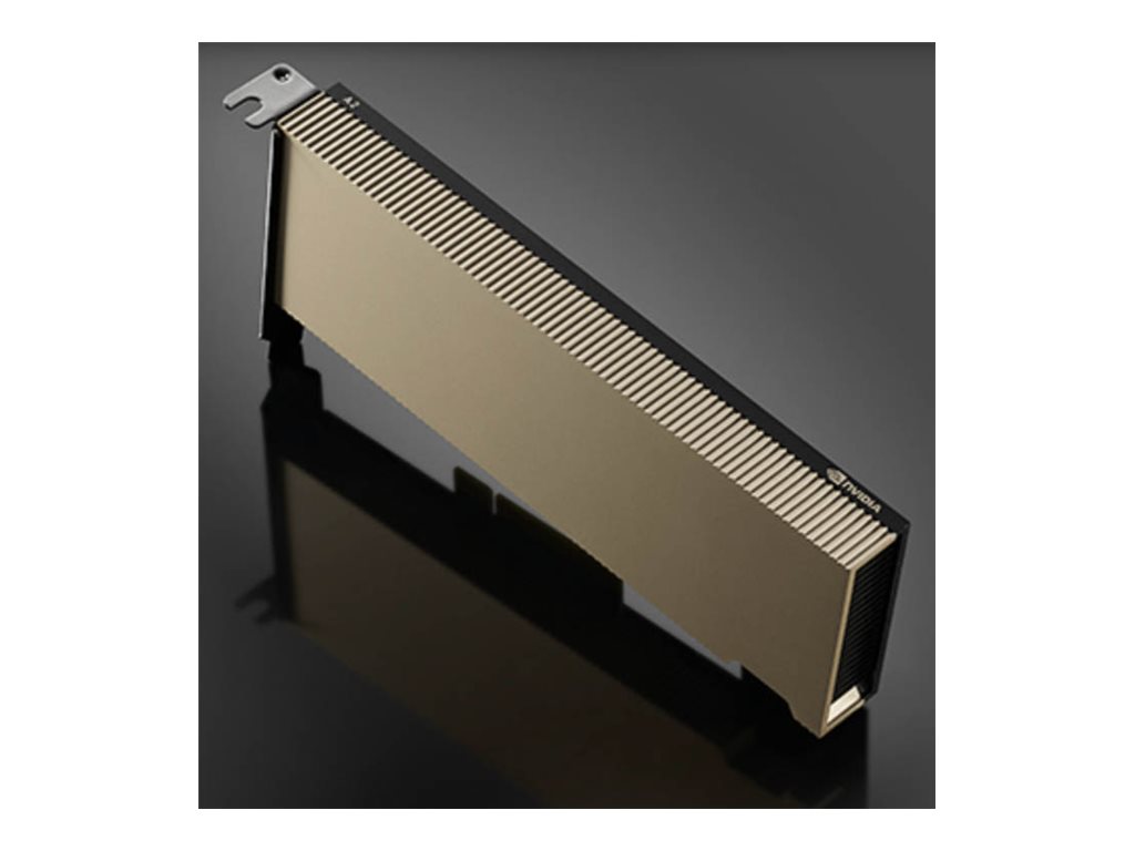 NVIDIA A2 Tensor Core GPU-Rechenprozessor 16 GB GDDR6 PCIe 4.0 x8 Low-Profile