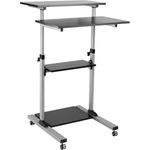 ROLINE PC Standing Workstation (17.02.1547)