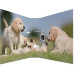 HERMA 7165 Karton Lagerung (7165)